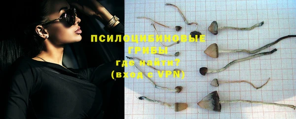 гидропоника Арсеньев