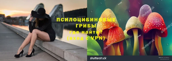 гидропоника Арсеньев