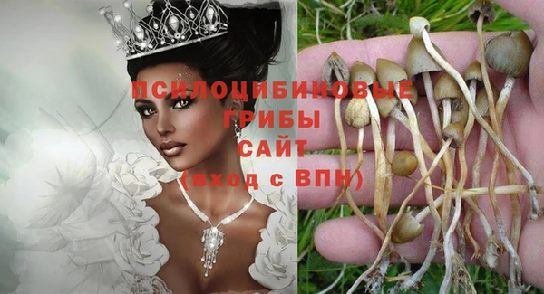 тгк Армянск